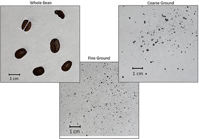 Model Predictions of Occupational Exposures to Diacetyl and 2,3-Pentanedione Emitted From Roasted Whole Bean and Ground Coffee: Influence of Roast Level and Physical Form on Specific Emission Rates